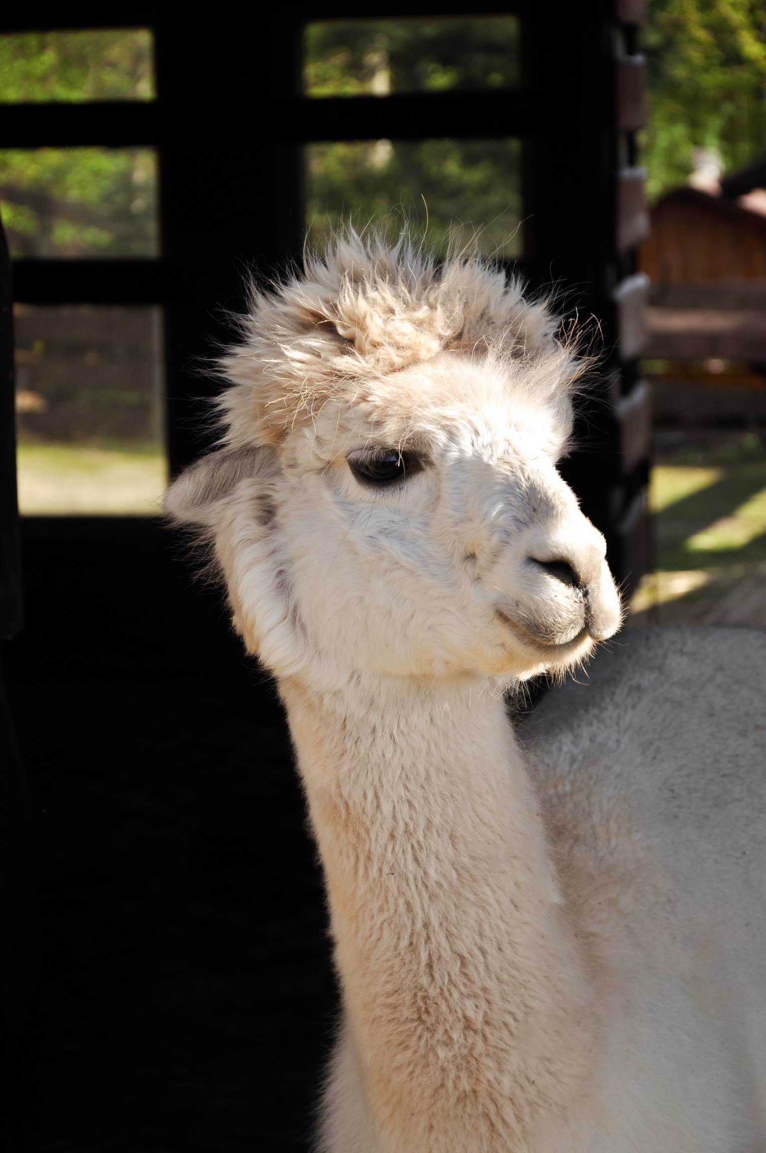 D4EDD7C2-BBE1-4F62-9126-79308DB63FE6